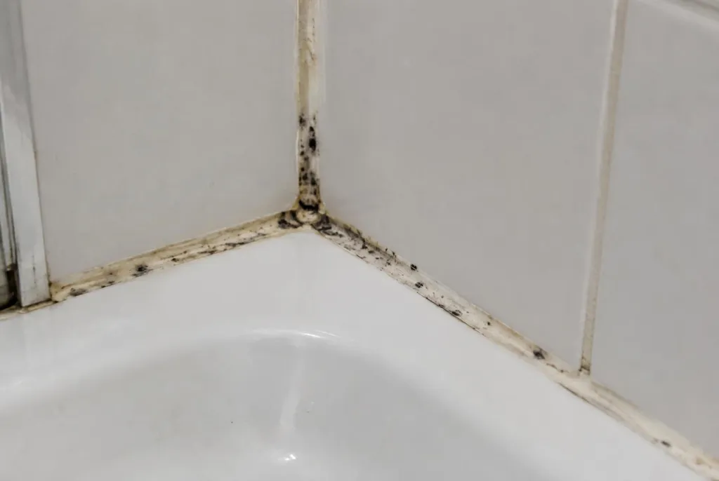 Kitbedrijf Hulshorst – beschimmelde kitranden